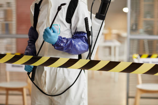 Professional Odor Removal technician working in Olivet, MI